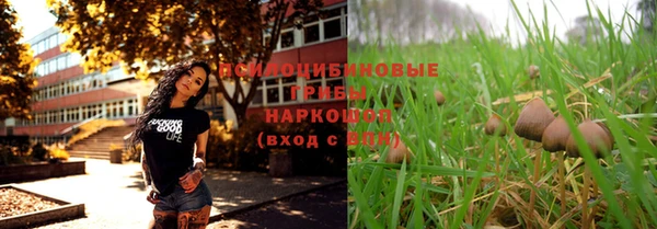 гидропоника Балахна